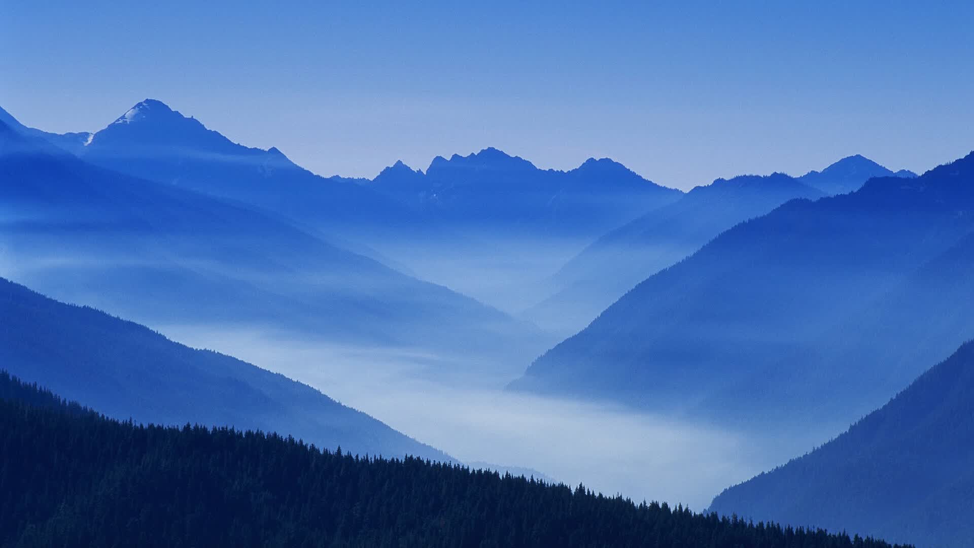 世界拳击超级夜:新星拳手完成名场面,世界拳击超级系列赛